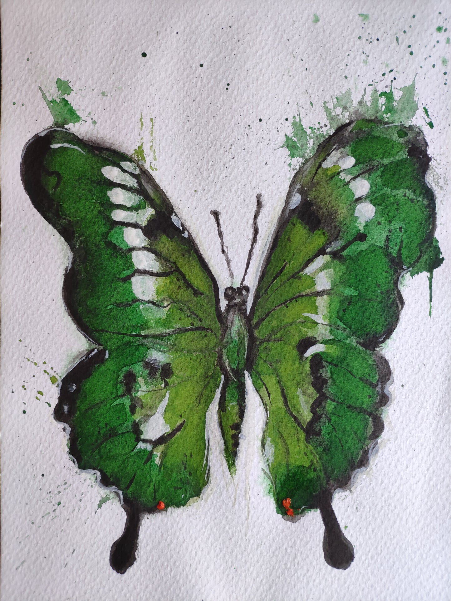Camuflada Verde