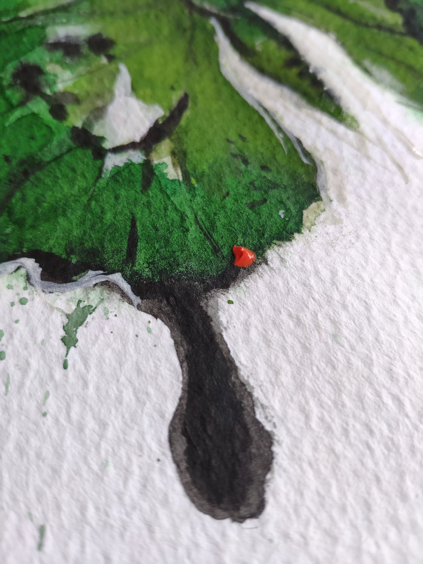 Camuflada Verde