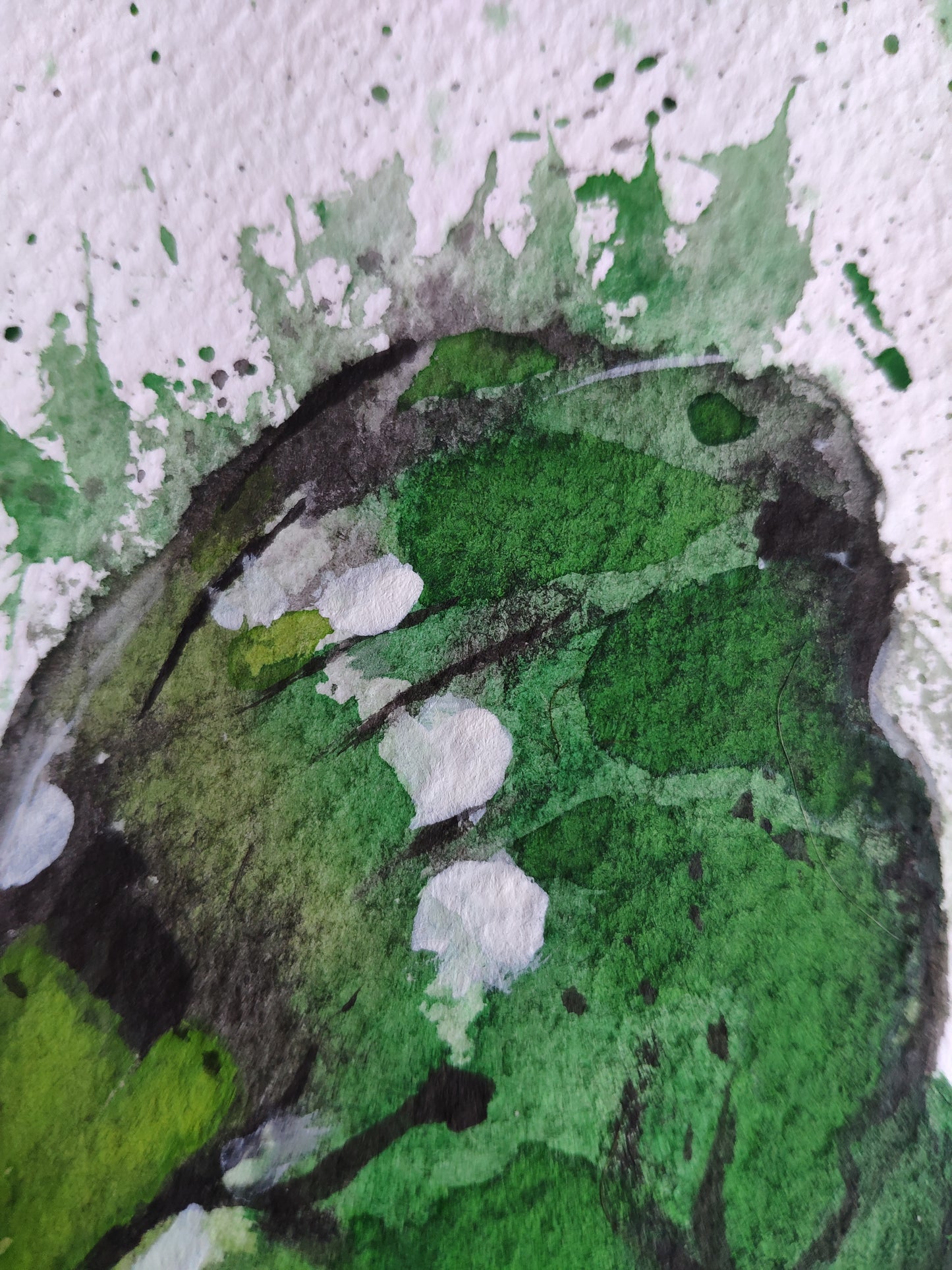 Camuflada Verde