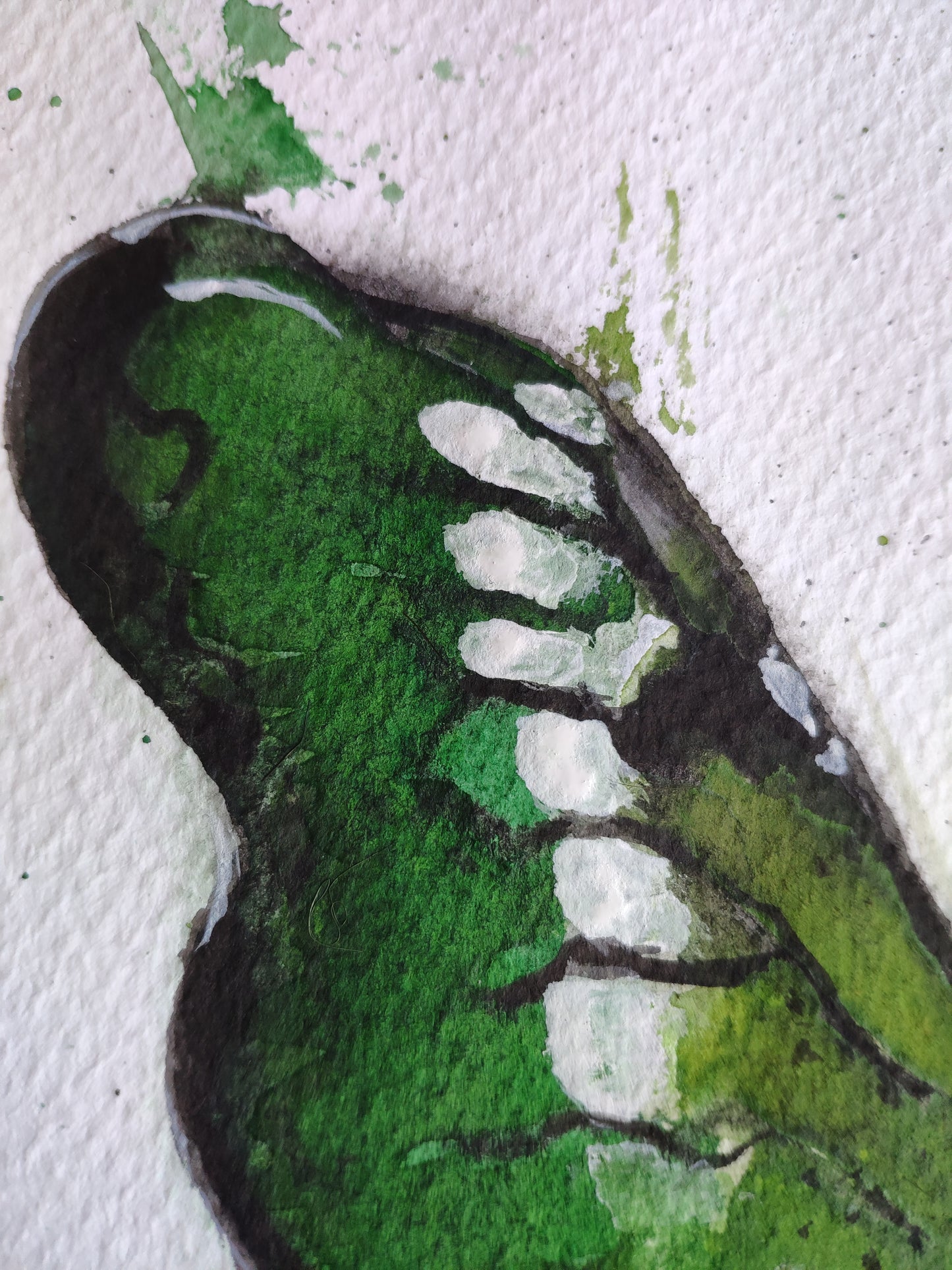 Camuflada Verde