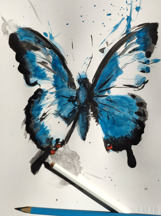 Papilio Ulysses