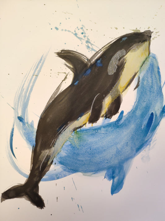 Orca Azul 🌊